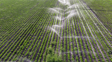 news article on agriculture